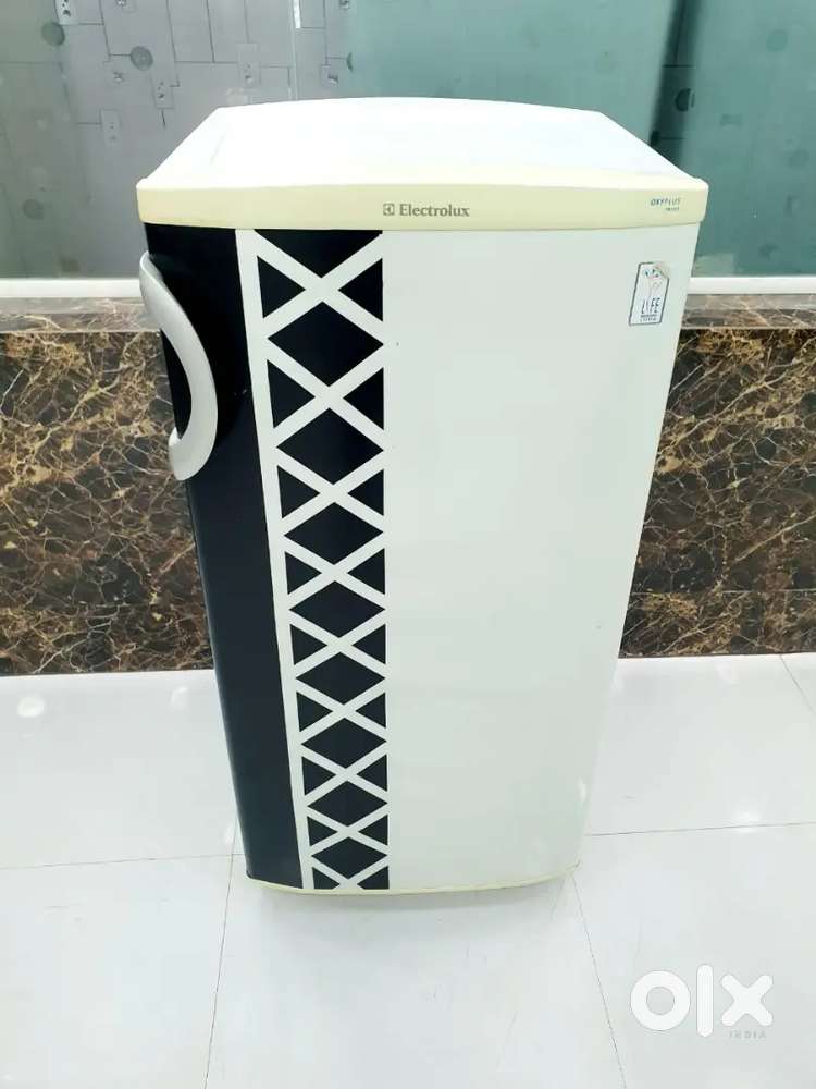 Order Now - Free Delivery on This Fridge!