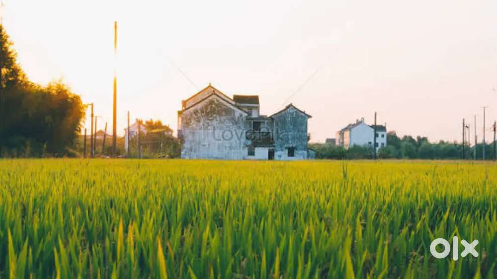 जिनको मकान प्लॉट या खेत मकान लेना हो तो जरूर बताओ