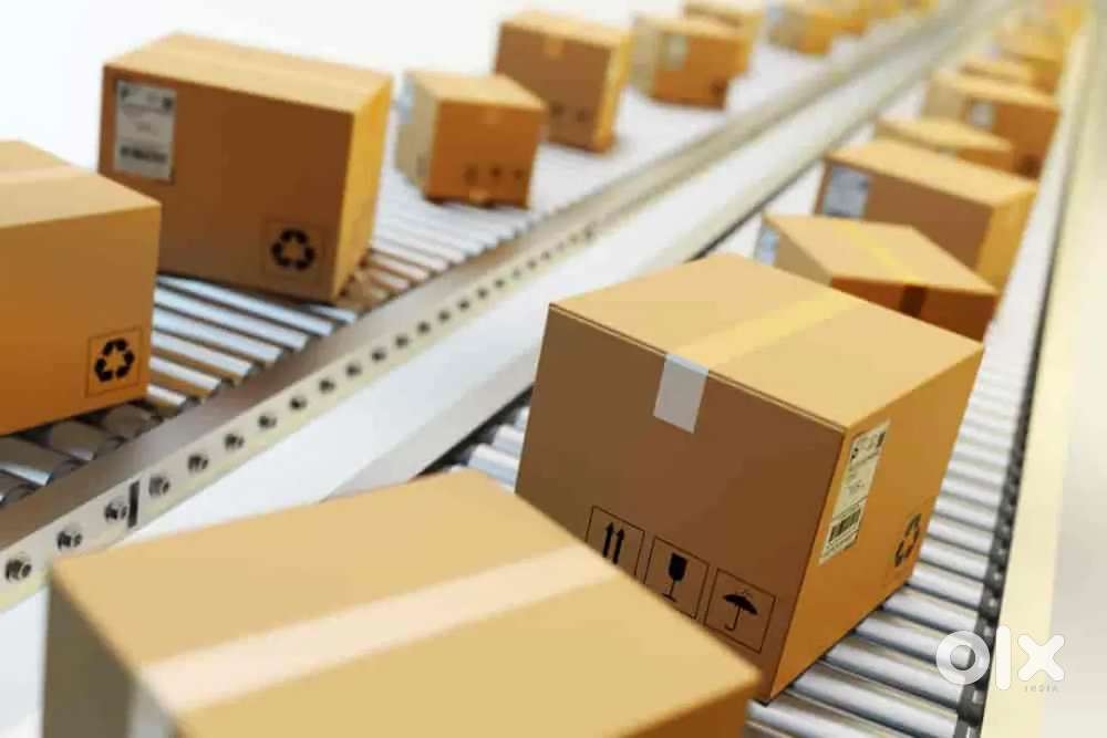 Ecommerce Packing Job  Only Boys
