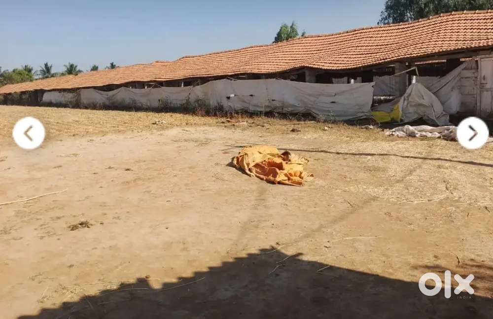 Poultry Farm For Rent