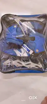 Roller skates
