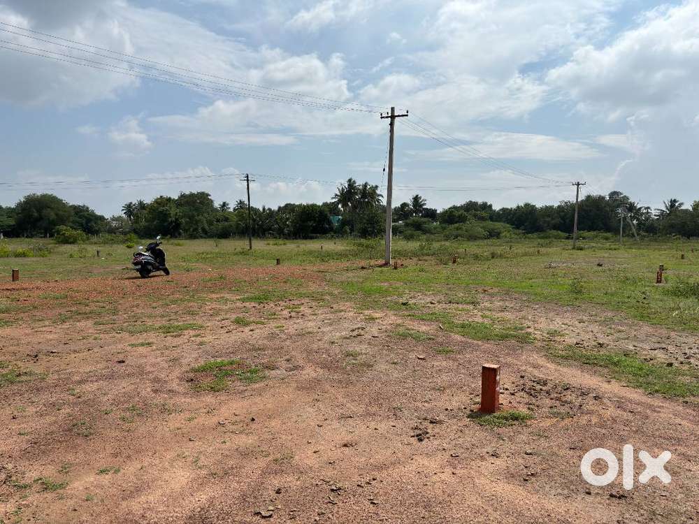 Land for sale in Illuppakudi (Negotiable)