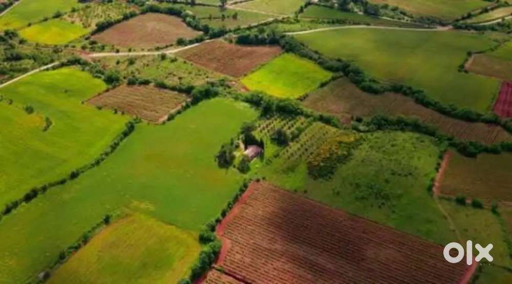 Farming land