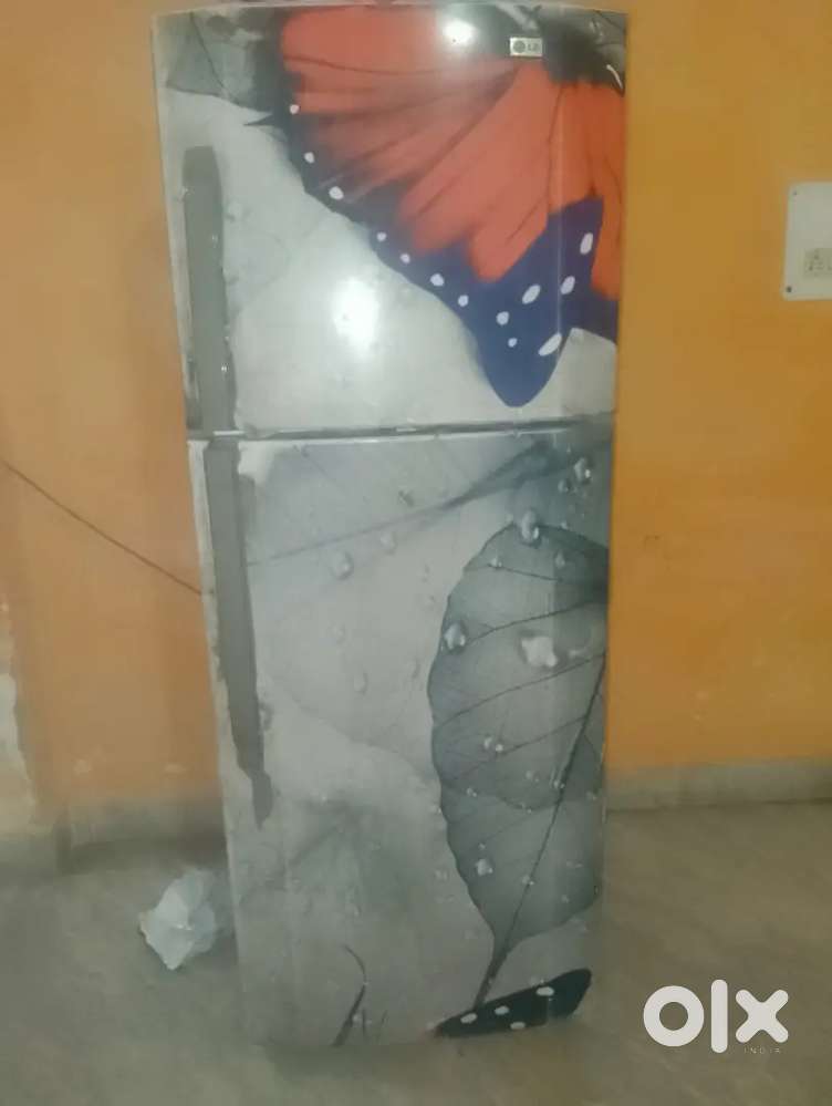 LG fridge double door