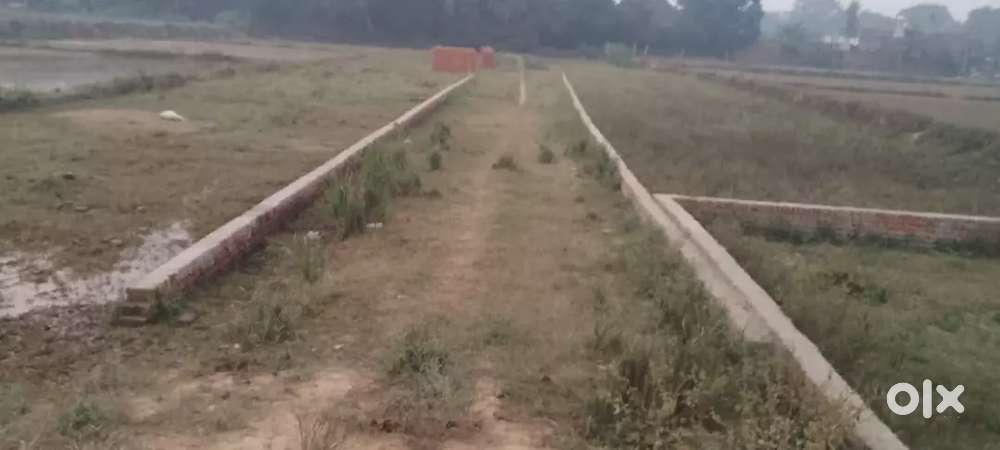 कौडिहार ओठगी में प्लॉट