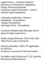 Huge openings for customer support executive
