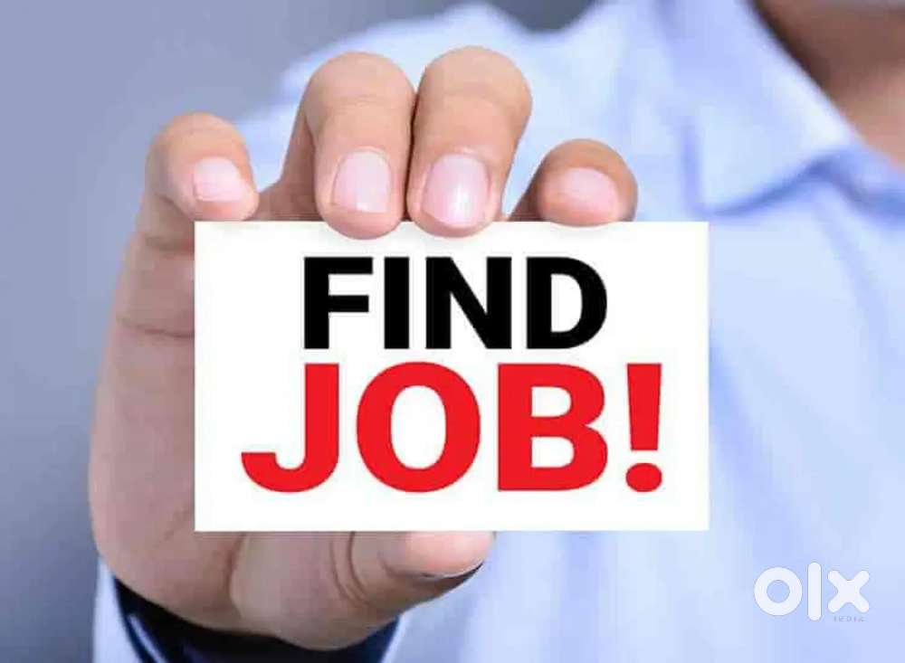 Urgently hiring need data operator