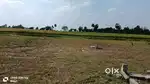 Polt/Land for Rent @ Thirunagar, Arakonam