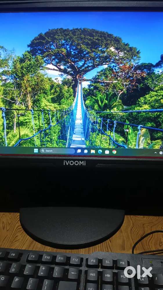 DZAB Intel Core i5 (8 GB DDR3/500 GB/128 GB SSD/Windows 11 Home/