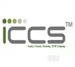 customer care executive