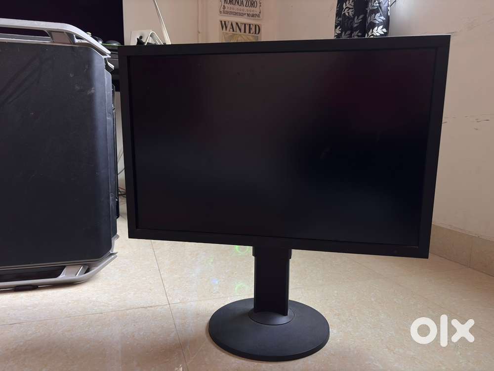 Coloredge EIZO CG2420 Monitor