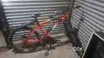 6 manth sports