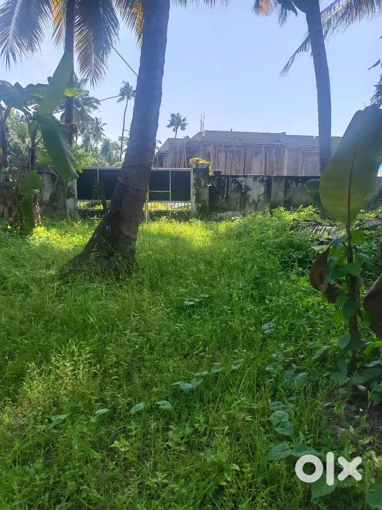 2 km from Vallarpadam church panchayt rd(3m) frontage plot, dryland