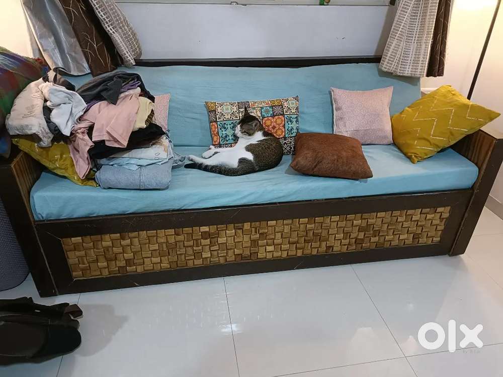 6*6 sofa cum bed