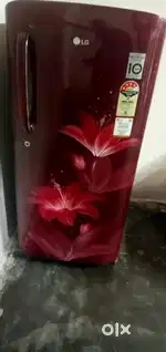 Lg refrigerator