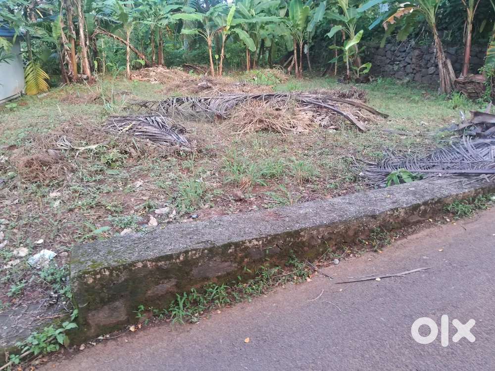 6 cent 100 mtr close to pottammel methottuthazham road