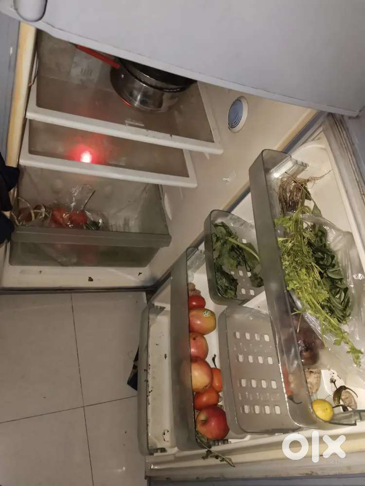 Samsung dual door fridge