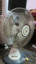 Everyday Table fan