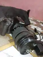 Canon camera mark 1
