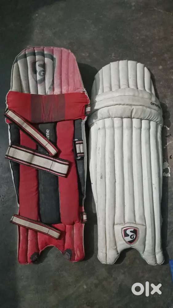 Cricket pad (SG)