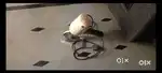 Commercial cloth cutting machine