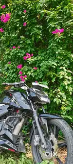 Clean condition, price negotiable