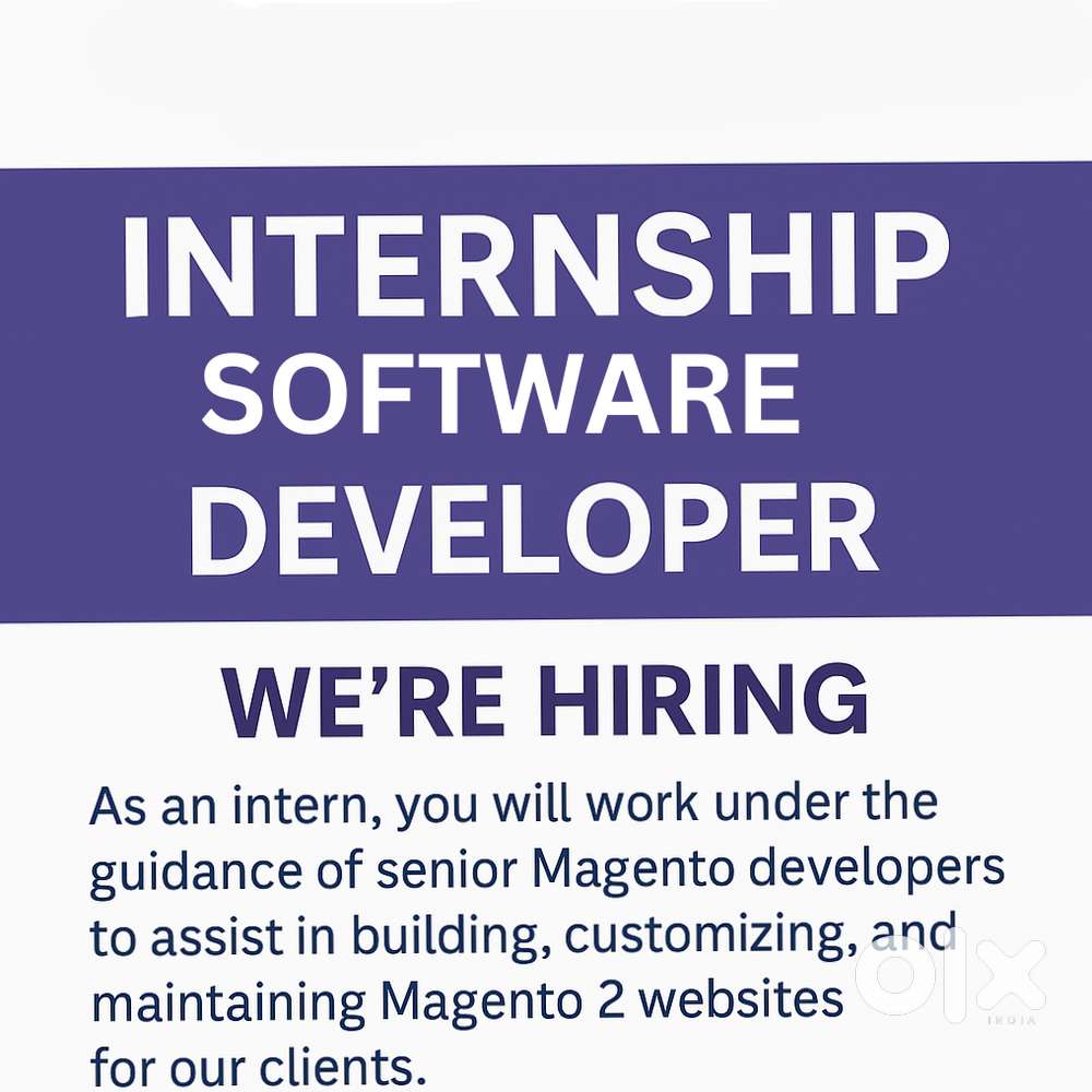 Software Developer Intern