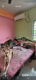 Want to sell my flat