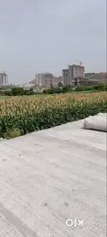 OPEN BUNGALOW PLOTS NEAR AT -MARUNJI