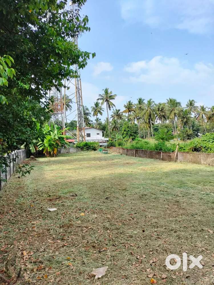 RENT: 15 CENTS MAIN ROAD CHIYYARAM