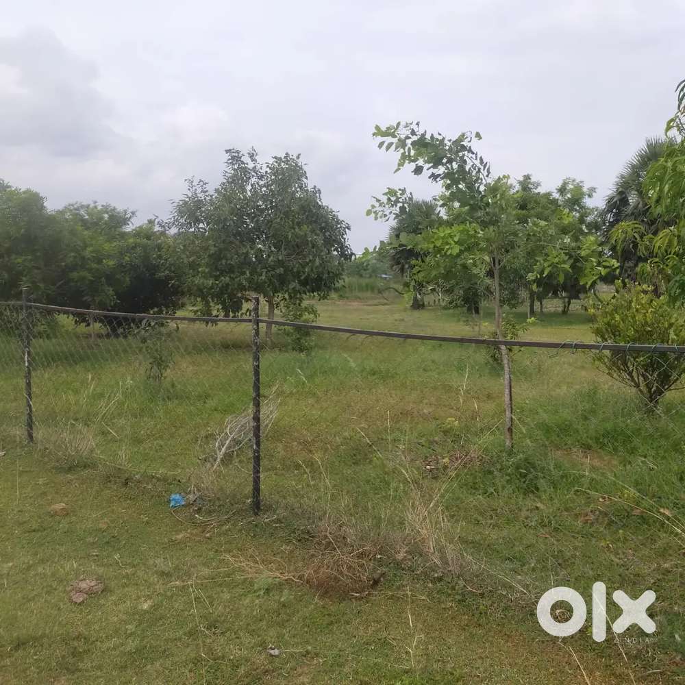 10000 Sqft Farm Land at Cheyyur ECR