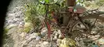 Chalu condition me, tyre, rim, tube seat cover lock etc new