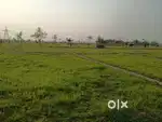 Residential Land
