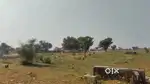 628 sq mtr, JDA, East'West, Commercial plot for sale at Ring Road