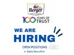 Sales Executive