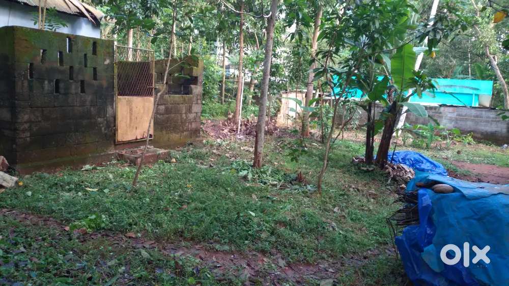 നാഷണൽ ഹൈവേയിൽ നിന്നു 450 മീ. മാറി 5 സെന്റ് സ്ഥലം വിൽപ്പനയ്ക്ക്