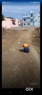 Plot for Sale in Gharwali colony (Om Vihar)
1.5 km from Shimla bypass