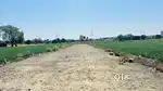 Pre- launching farmhouse in indore Rau Rajendra nagar cat road