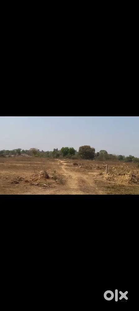 CNT FREE PLOAT FOR SALE