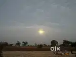 Highway touch agricultural land located bhupalsagar