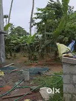 ഇരിഞ്ഞാലക്കുട ഇടവകയിൽ 8 സെന്റ് സ്ഥലം വിൽപ്പനയ്ക്ക്