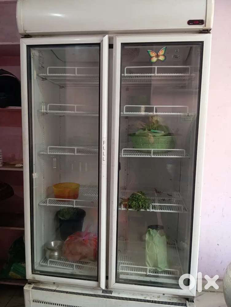 Western company refrigerator double door 900 litre