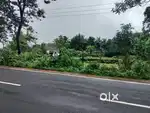 50 cents commercial land moodbidri