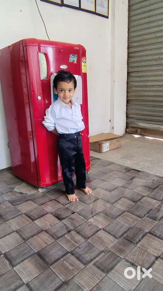 Frige in well condition