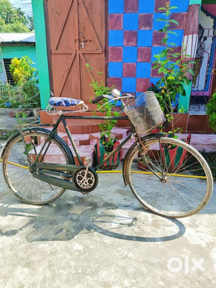 Hero Royal Gold, 2 years old, well maintained, with full chain cover.