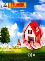 Tri Agro Projects