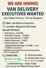van delivery Executive