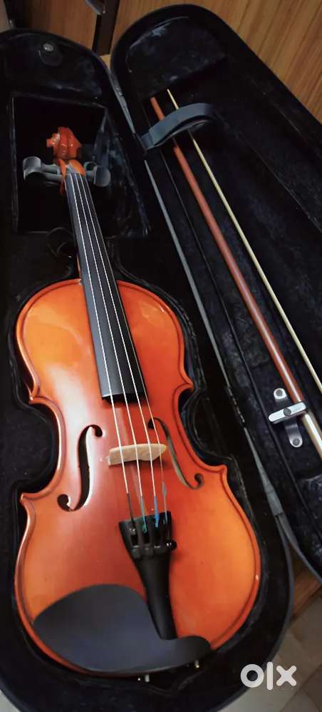 Violin - Musical Intrument