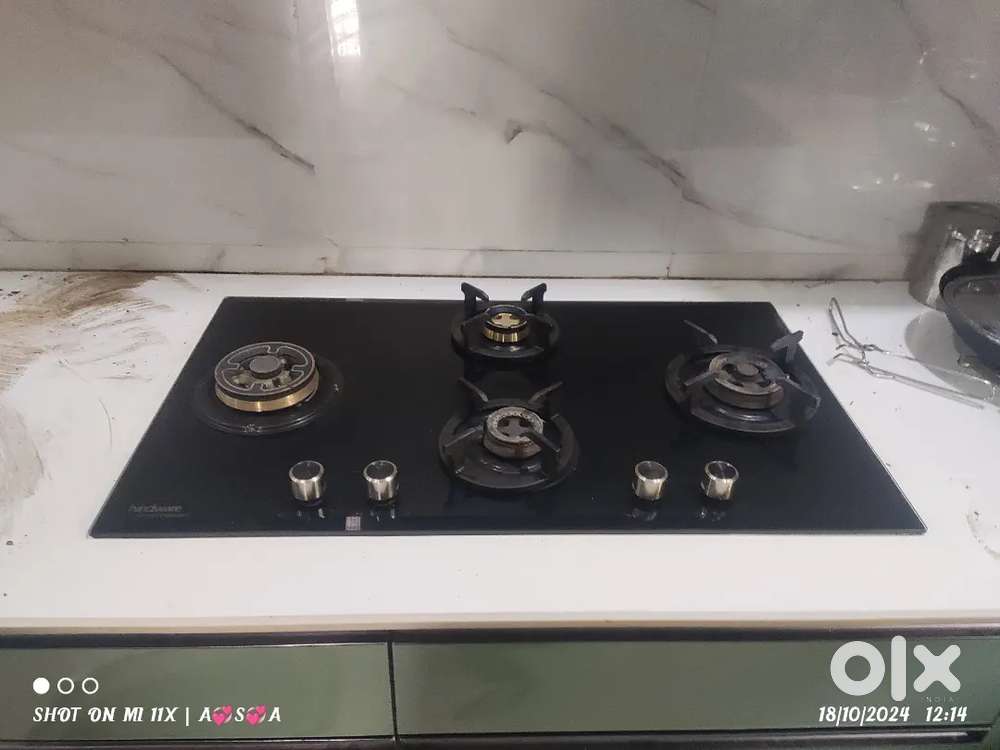 Home apllincess repair