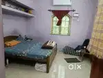 Roomate Required